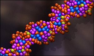 BBC Photograph Representing a DNA Molecule